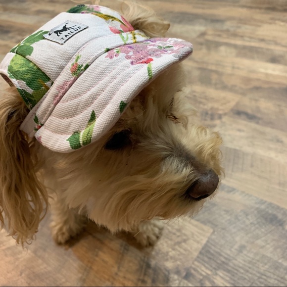 Ieconpet Other - Ieconpet Baseball Floral hat with neck strap